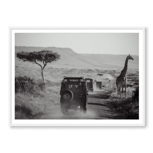 THE SAFARI B&W